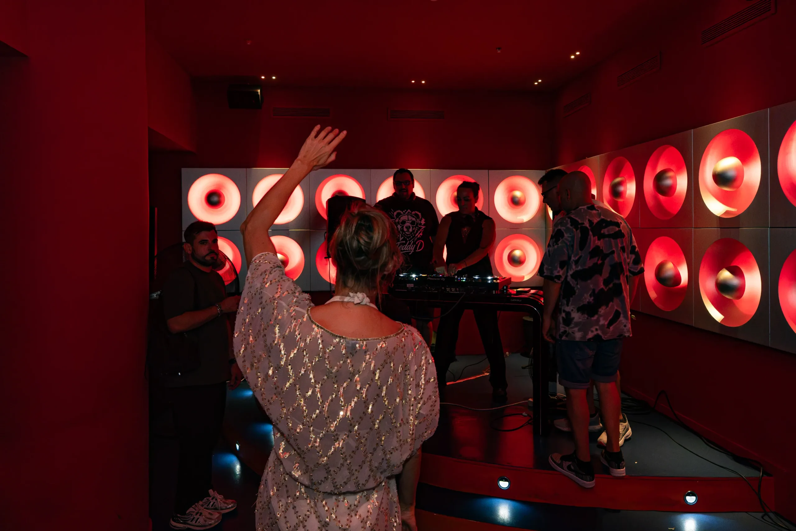 Atmospheric live set of DJ Teddy D with crowd silhouettes and stage lights